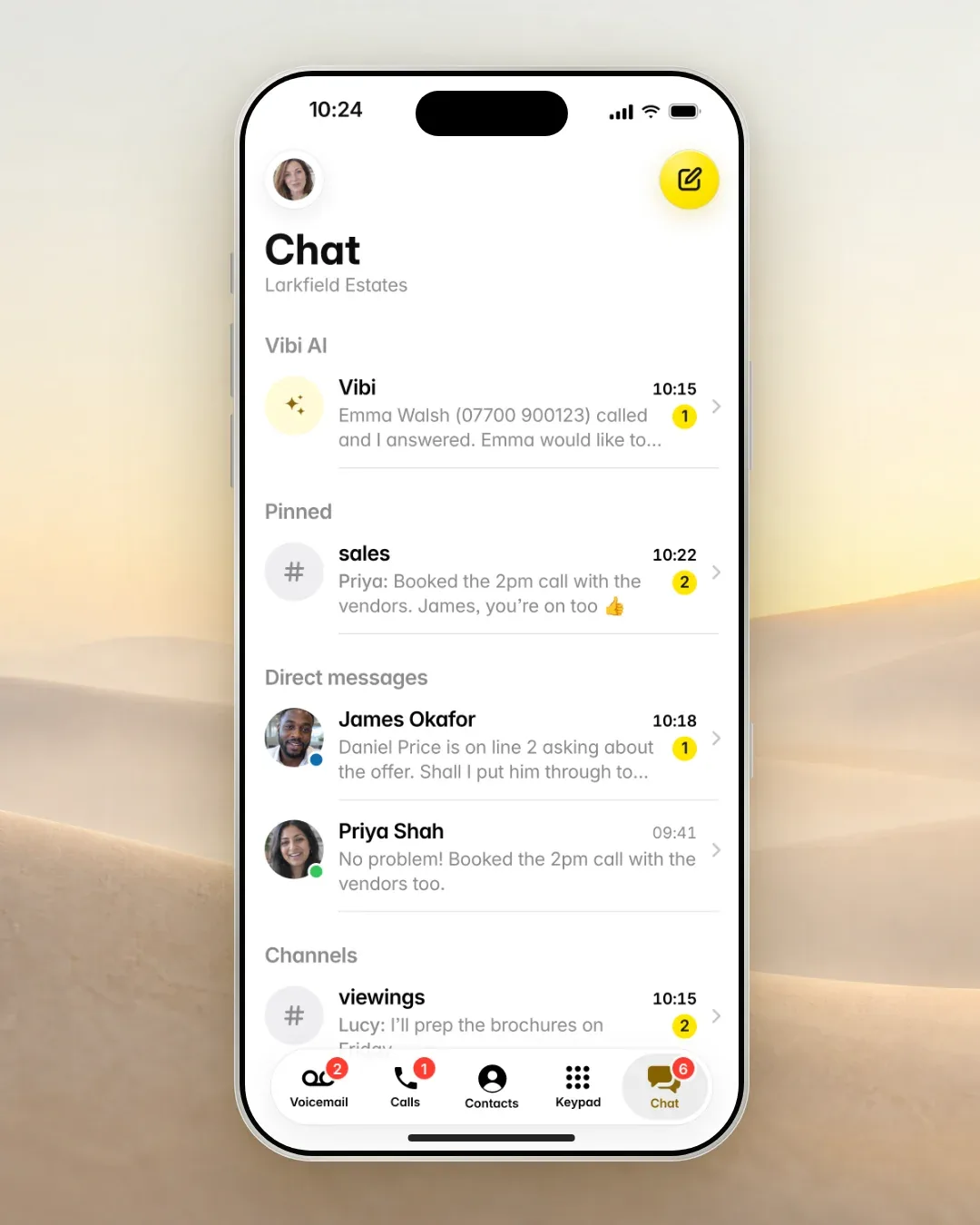 The Vibe Caller mobile chat list with Vibi's latest call update, the pinned #sales channel and direct messages.